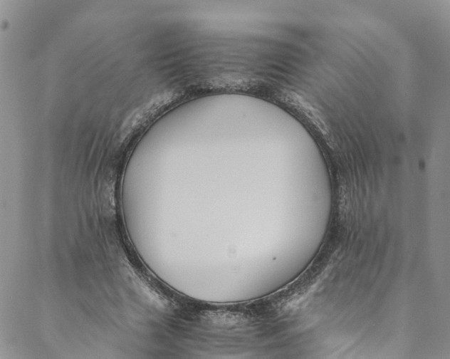 X0000088400633200706121236