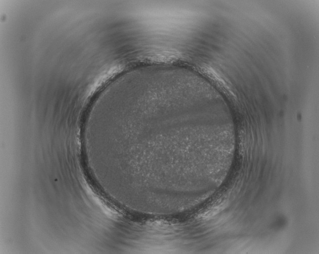 X0000088400634200706121236