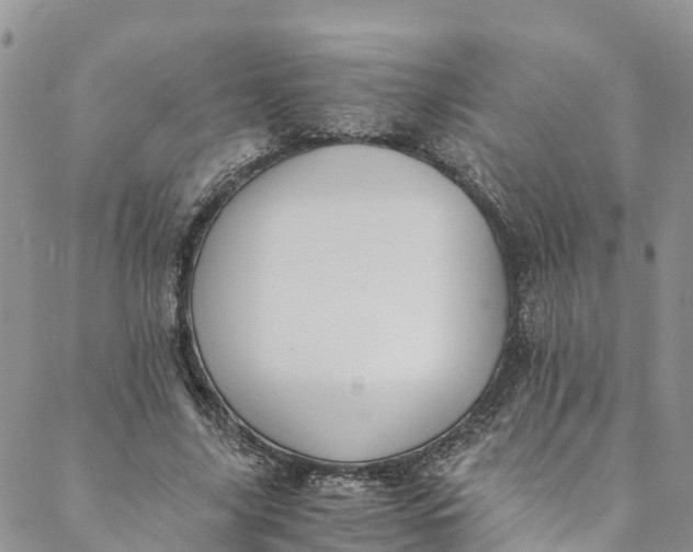 X0000088400635200706121236