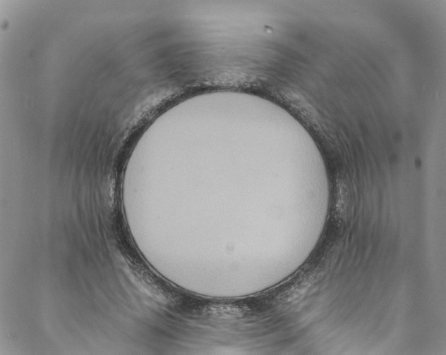 X0000088400636200706121236