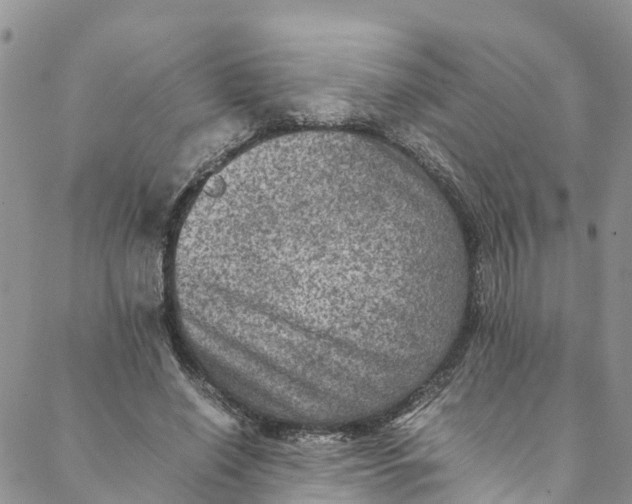 X0000088400638200706121236