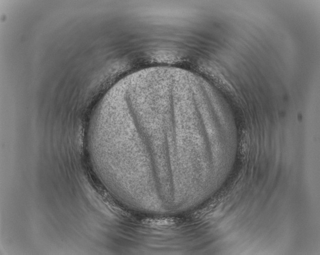 X0000088400639200706121236