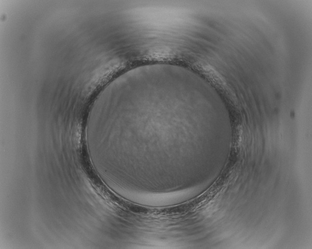 X0000088400640200706121236