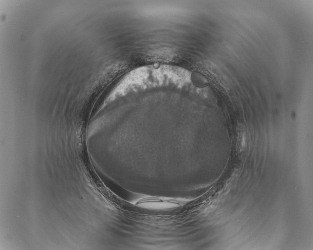 X0000088400641200706121236