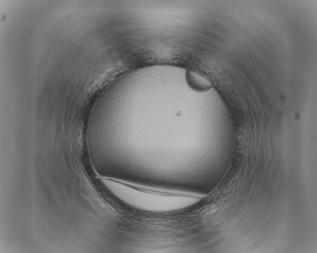 X0000088400642200706121236