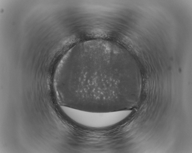 X0000088400643200706121236