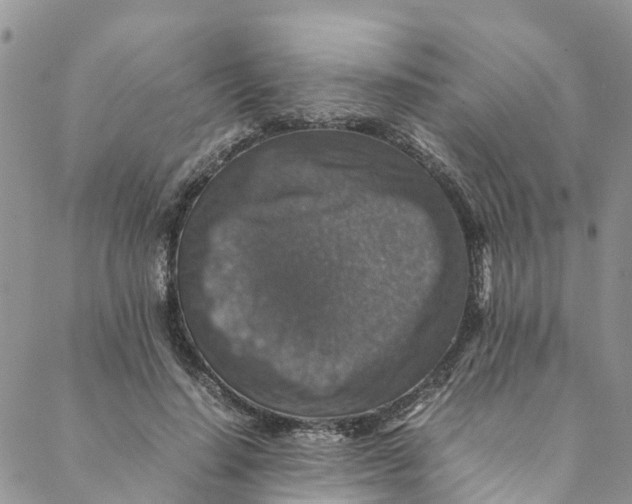 X0000088400644200706121236