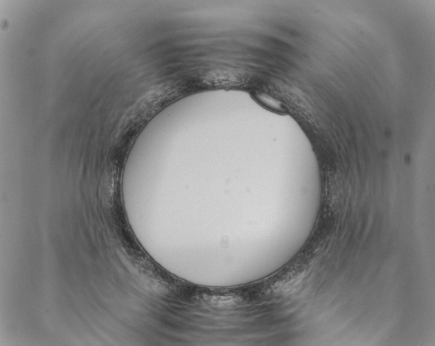 X0000088400645200706121236