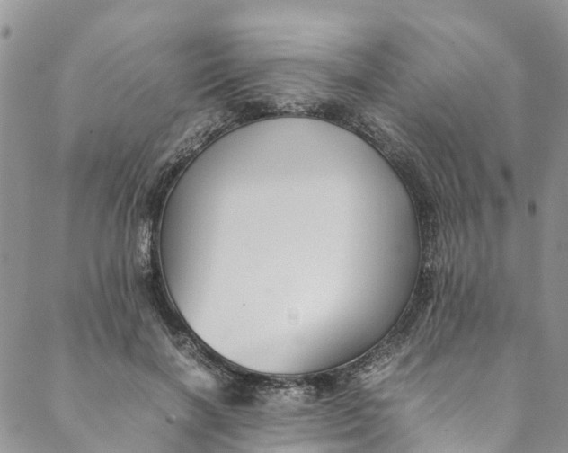 X0000088400646200706121236