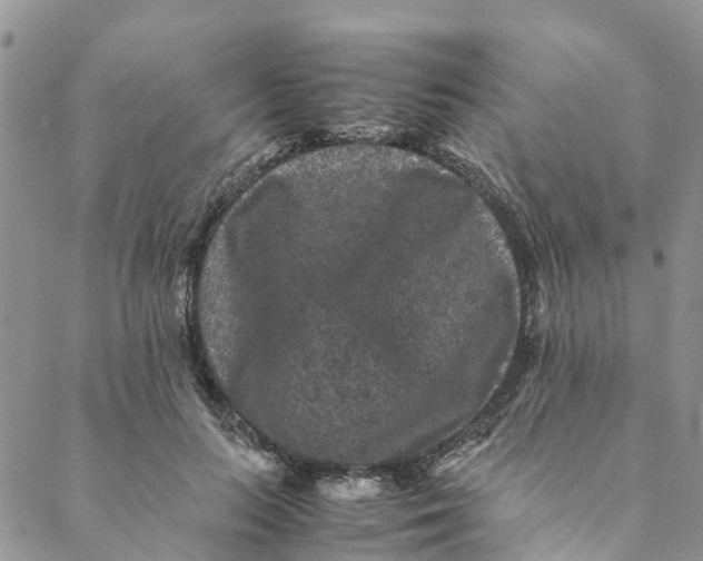 X0000088400647200706121236