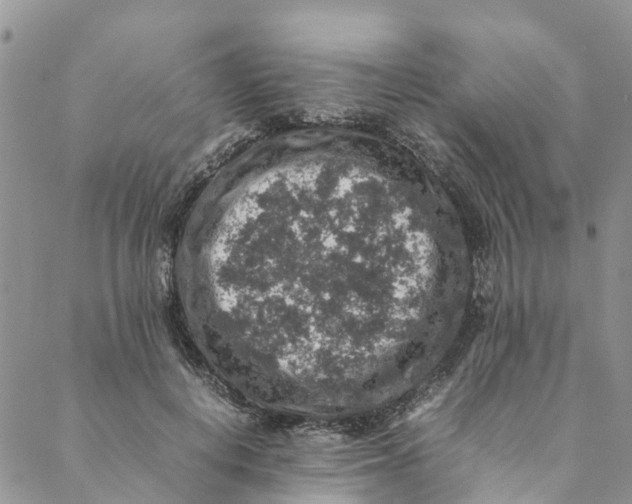 X0000088400648200706121236