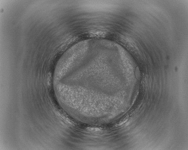 X0000088400649200706121236