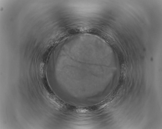 X0000088400650200706121236