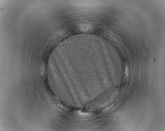 X0000088400651200706121236