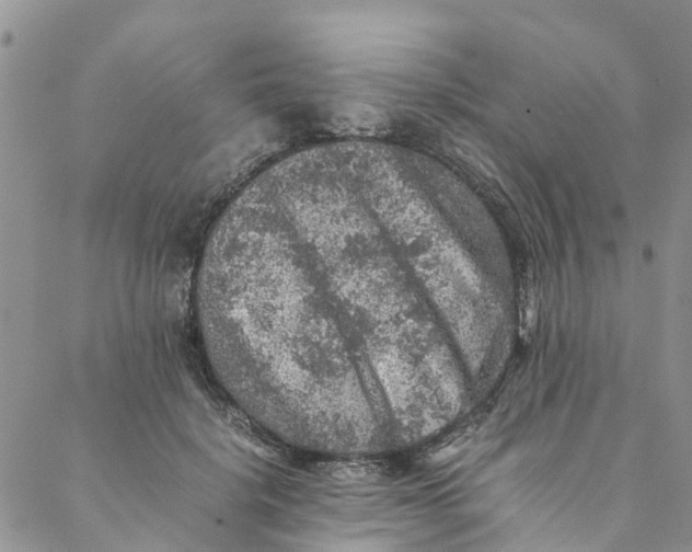 X0000088400652200706121236