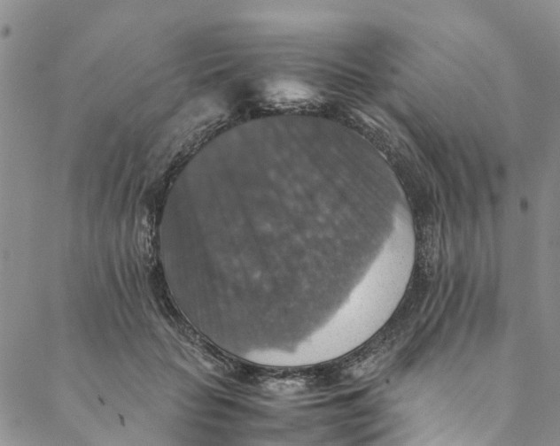 X0000088400653200706121236