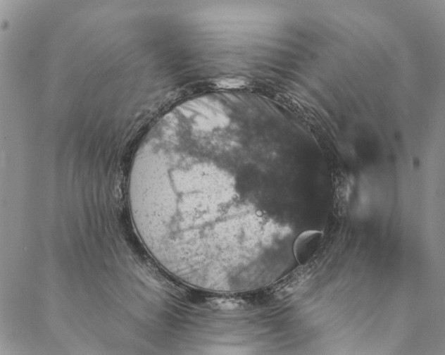 X0000088400654200706121236