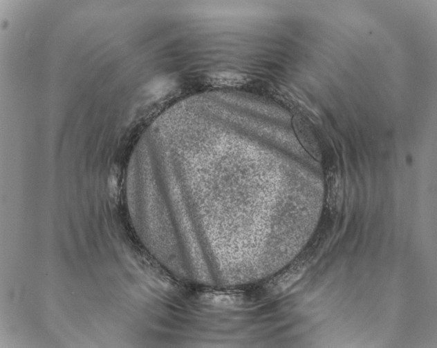 X0000088400655200706121236