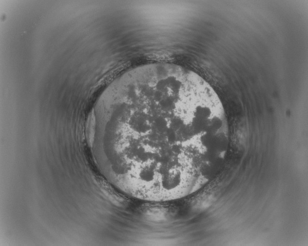 X0000088400658200706121236