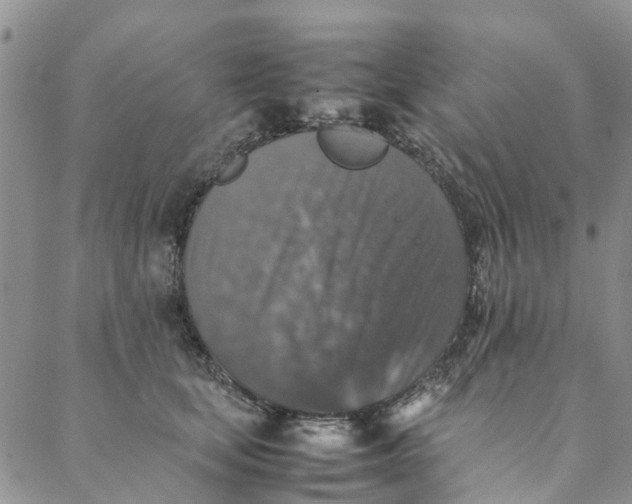 X0000088400659200706121236