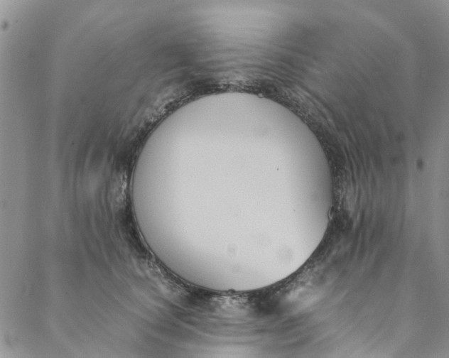 X0000088400660200706121236