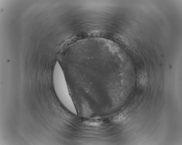 X0000088400661200706121236