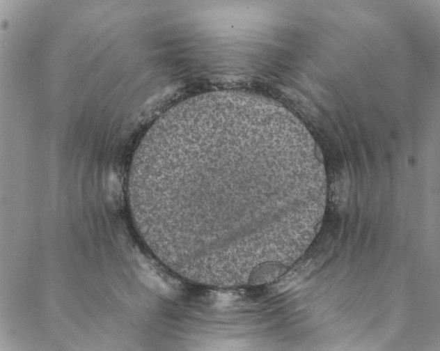 X0000088400662200706121236