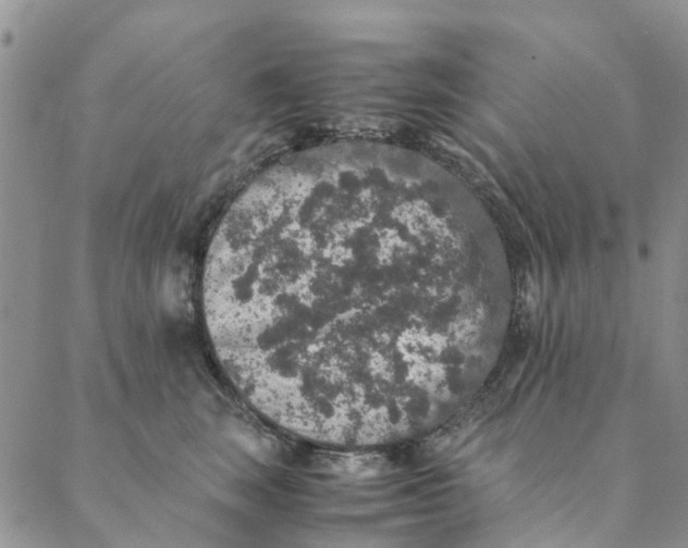 X0000088400663200706121236