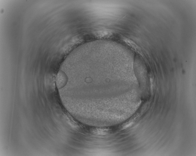 X0000088400664200706121236