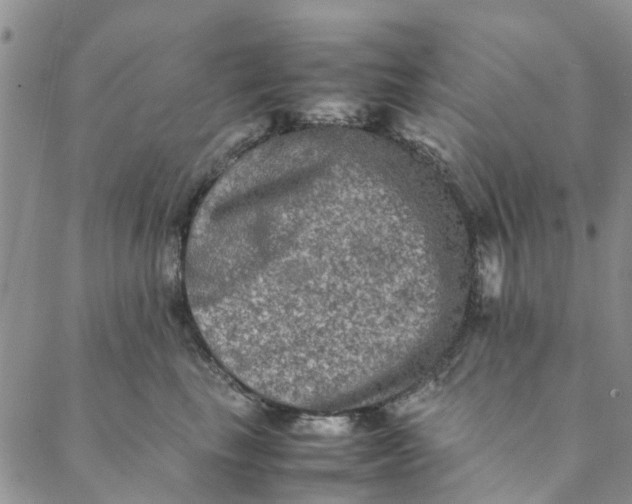 X0000088400665200706121236