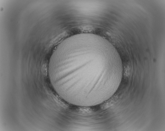 X0000088400666200706121236