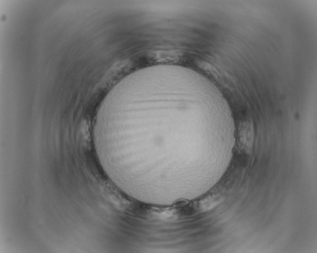 X0000088400667200706121236