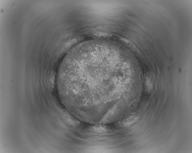 X0000088400668200706121236