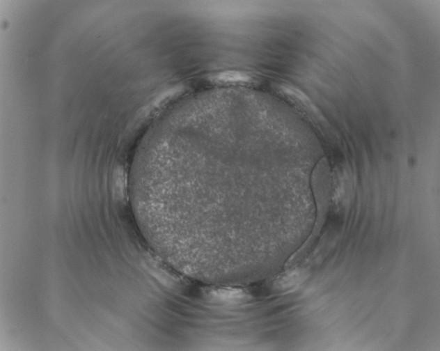 X0000088400669200706121236