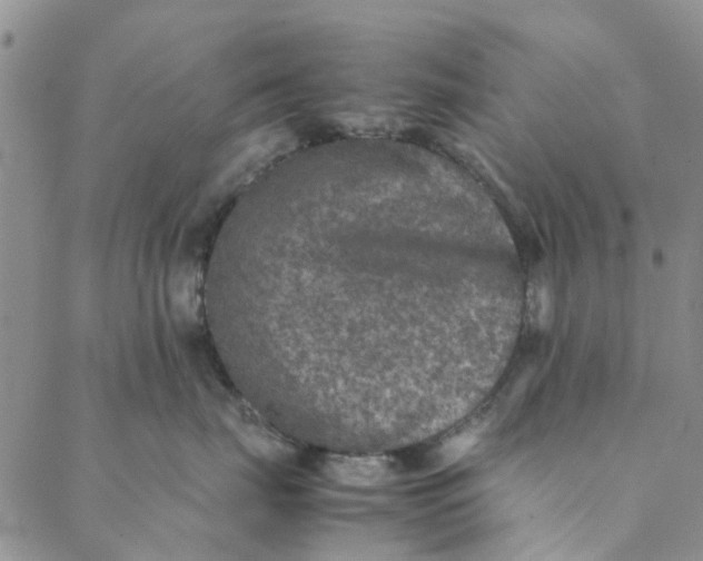 X0000088400671200706121236