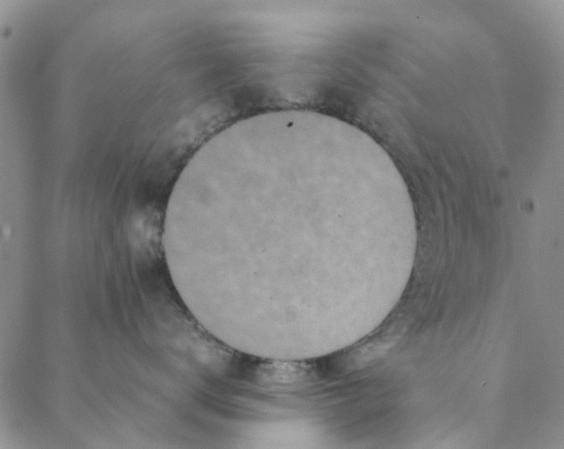 X0000088400672200706121236