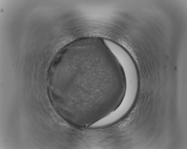 X0000088400673200706121236