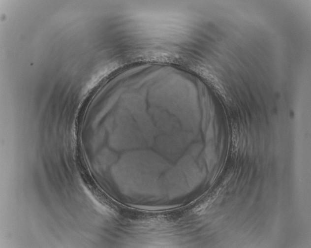 X0000088400674200706121236