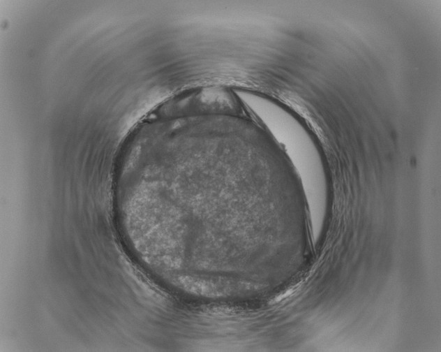 X0000088400677200706121235