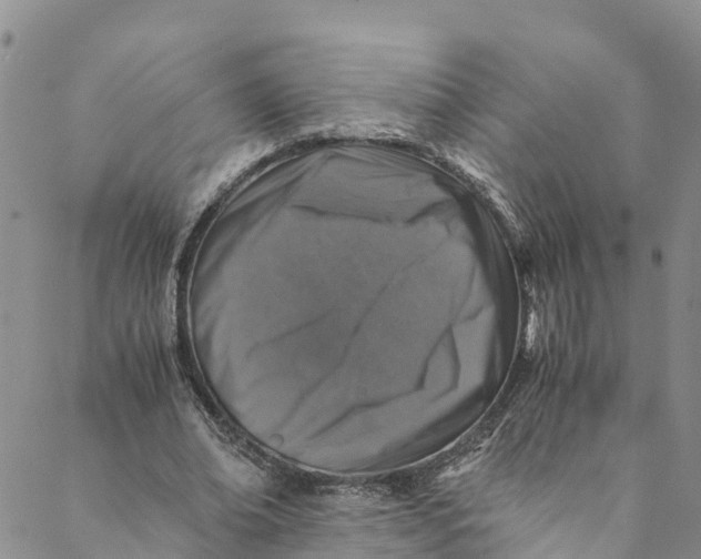 X0000088400678200706121235