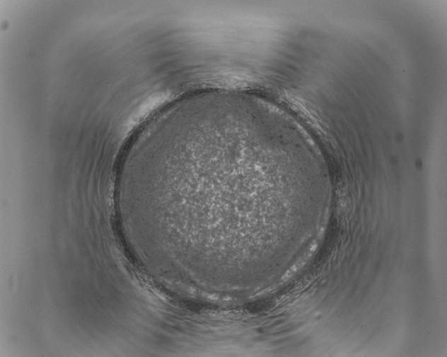 X0000088400679200706121235