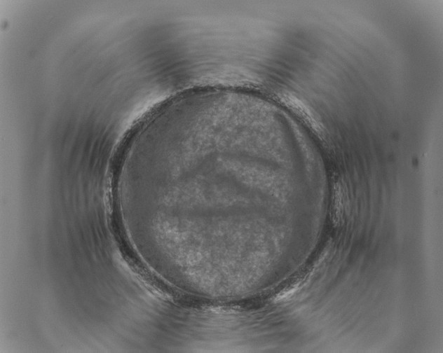 X0000088400680200706121235