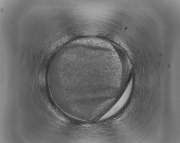 X0000088400681200706121235