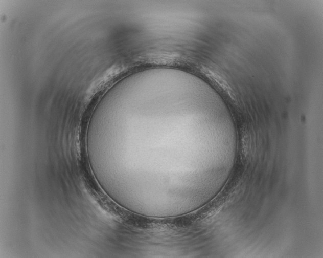 X0000088400682200706121235