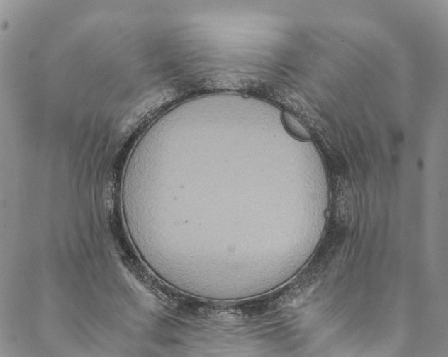 X0000088400683200706121235