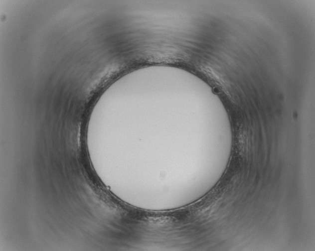 X0000088400686200706121235