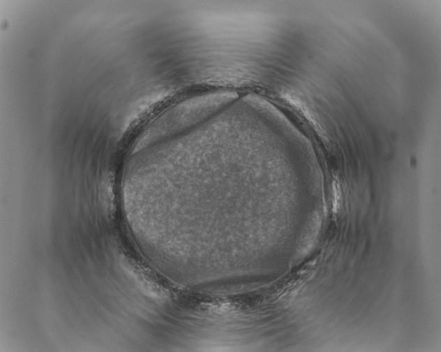 X0000088400688200706121235