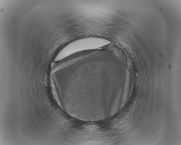 X0000088400689200706121235