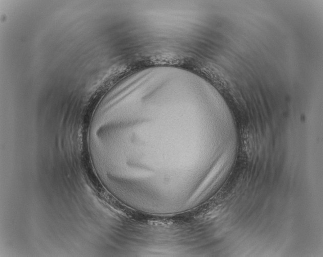 X0000088400690200706121235