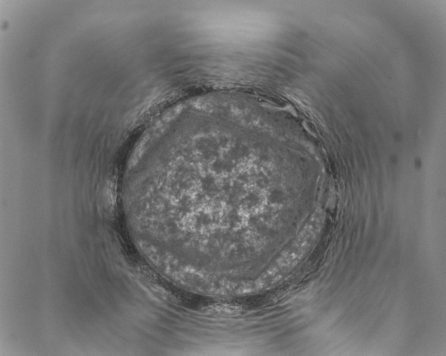 X0000088400691200706121235